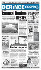 DERİNCE EKSPRES