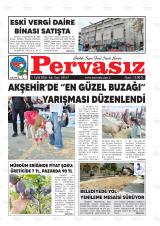 PERVASIZ