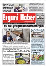 ERGANİ HABER