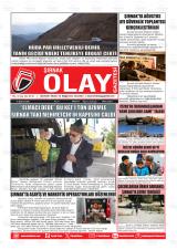 ŞIRNAK OLAY